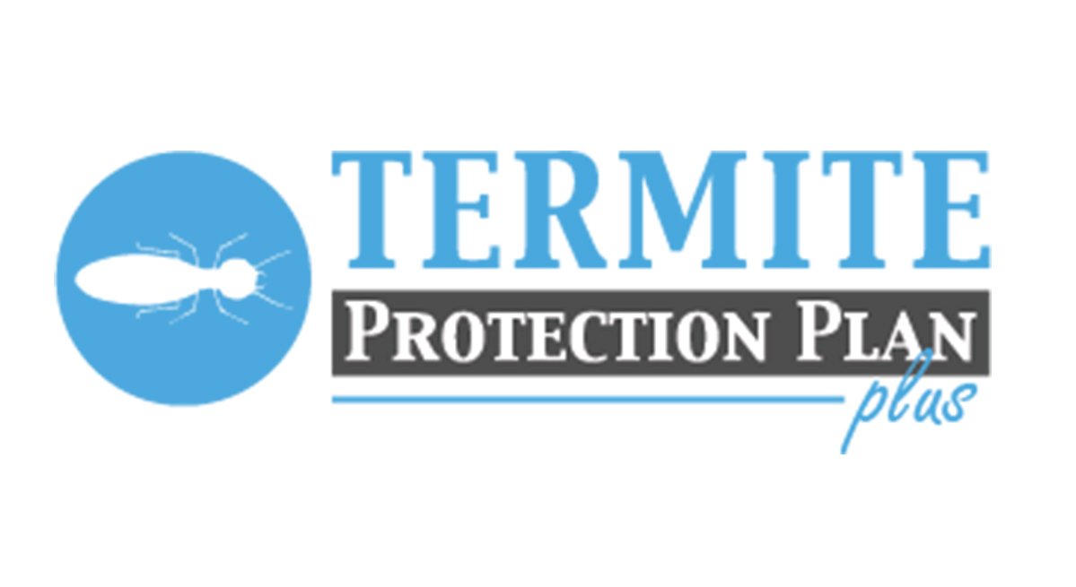 termite